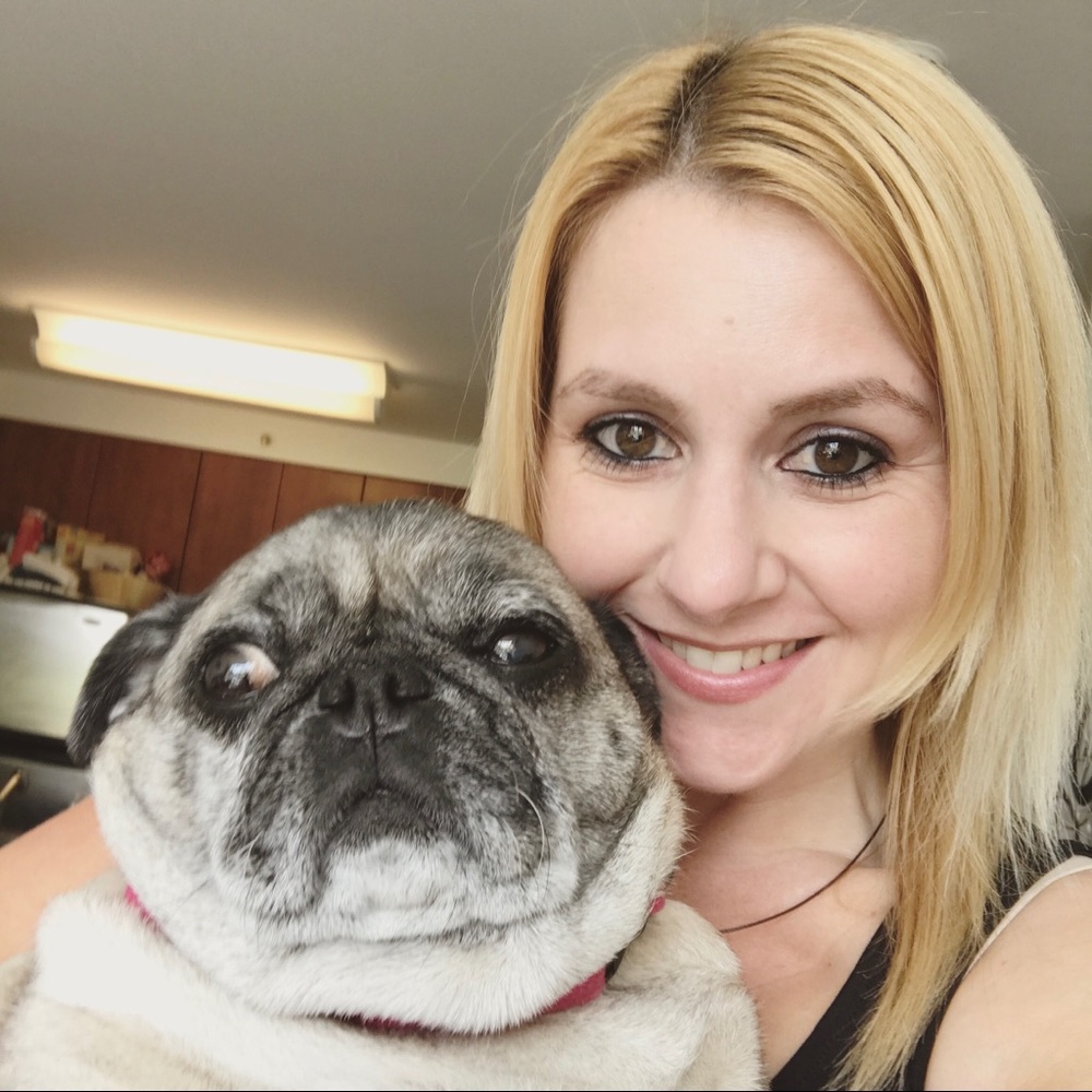 Meet Penny & Chile Biscuit!